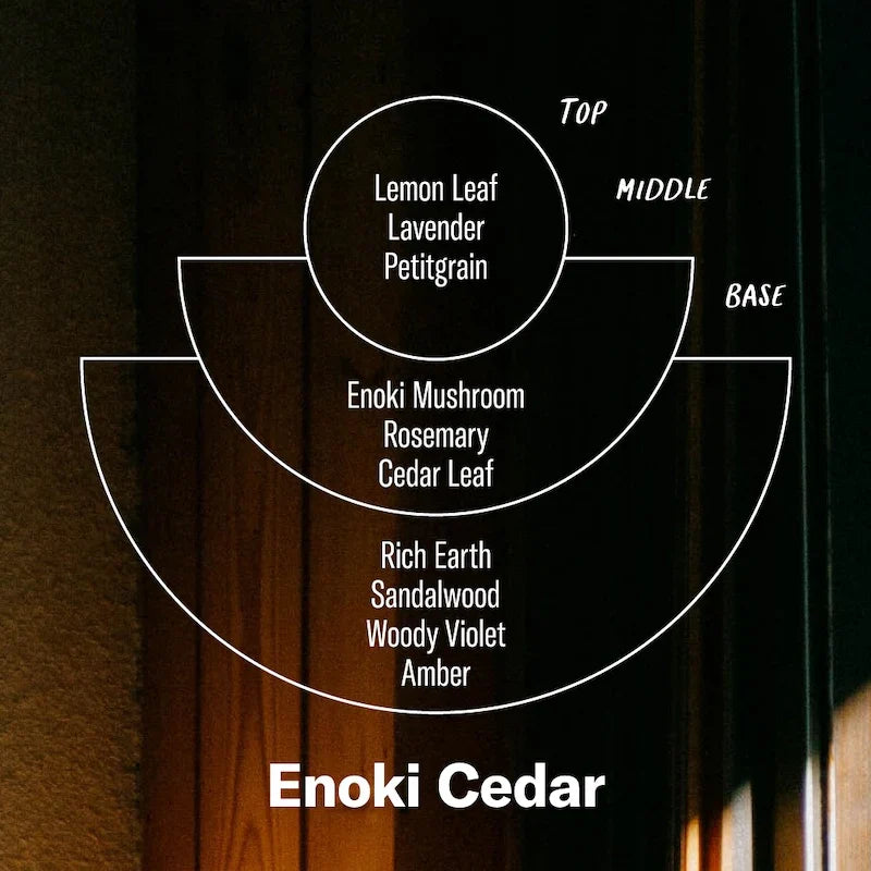 P. F. Candle Co. Enoki Cedar Incense Cones