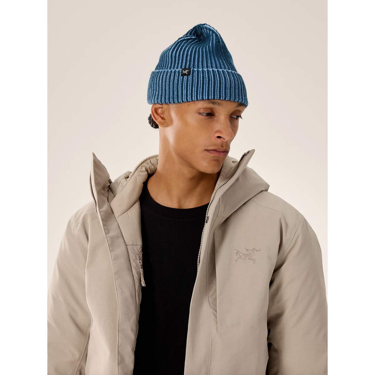 Arc'teryx Ribbed Toque