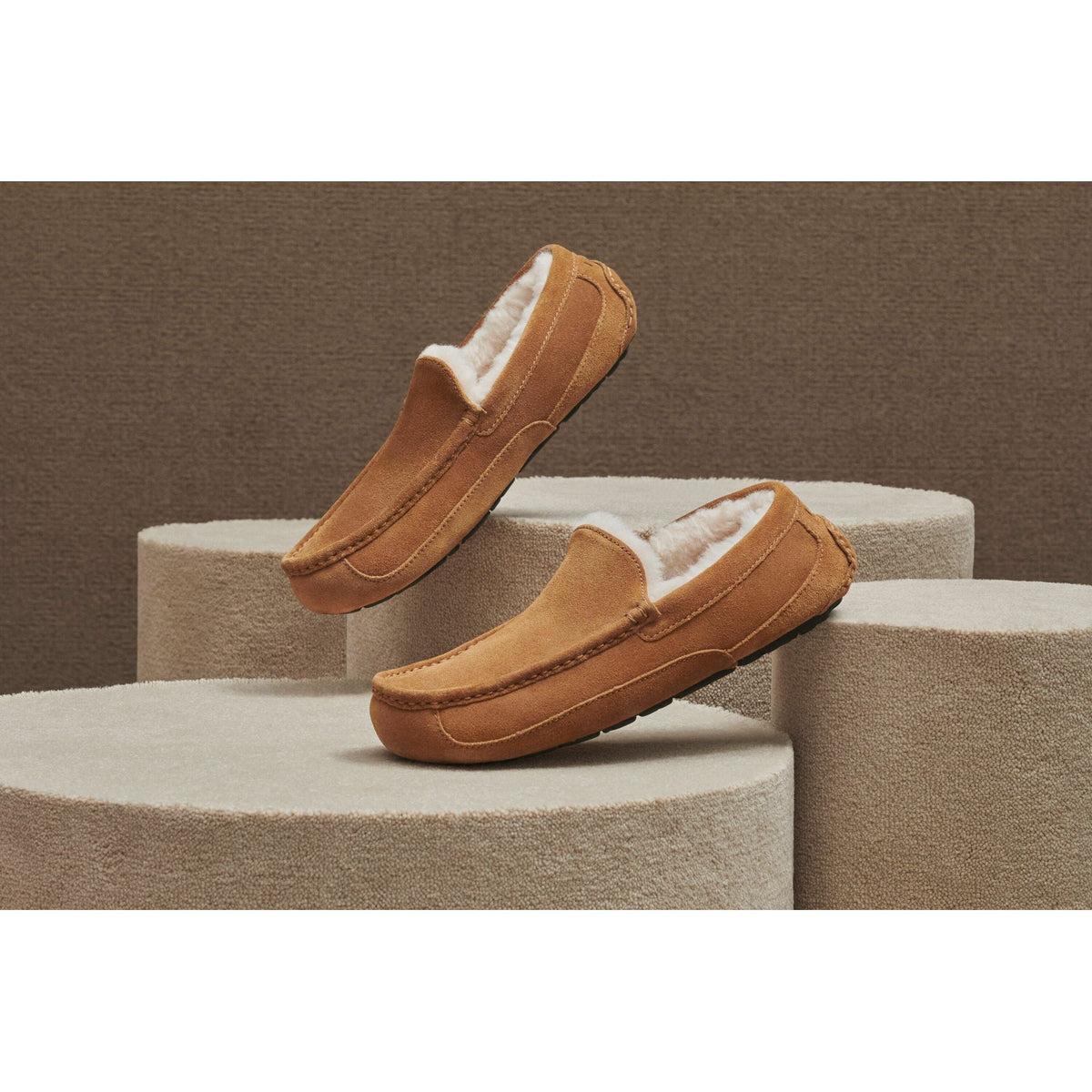 UGG Men's Ascot Slipper in Chestnut